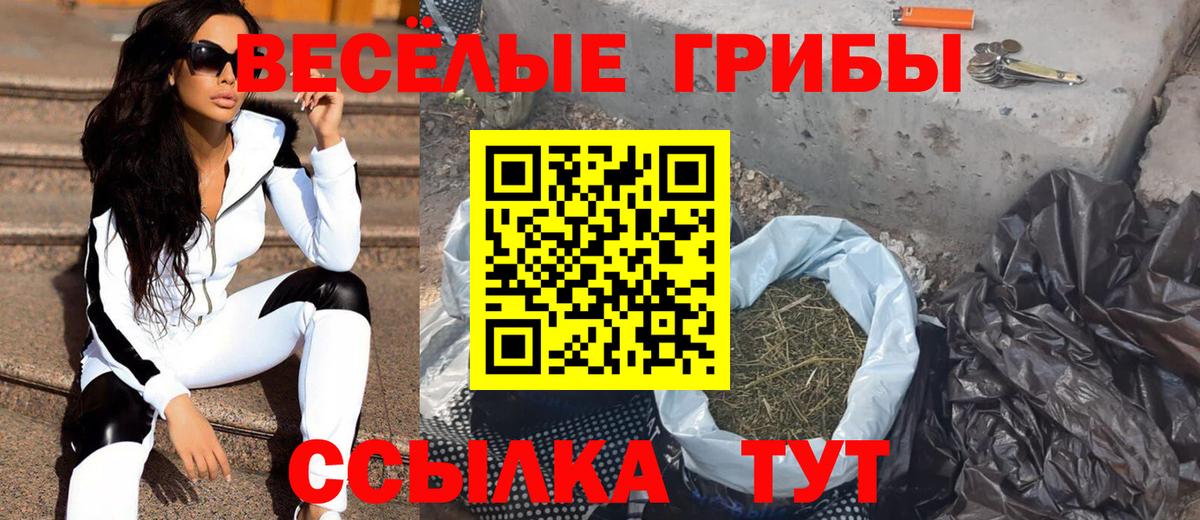 Псилоцибиновые грибы MAGIC MUSHROOMS Оренбург